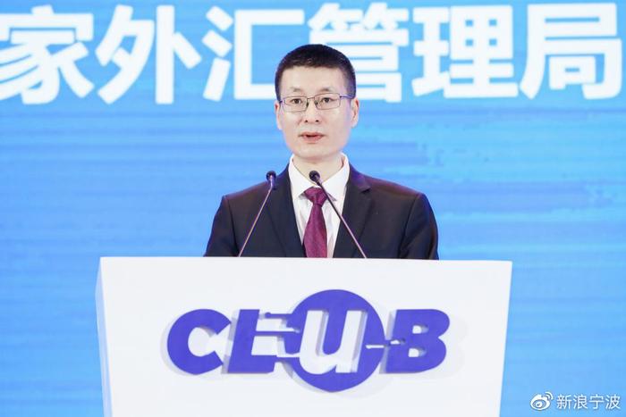 金融韧性是什么_金融的危机_理解数字资产如何增强金融系统的韧性：应对金融危机的新思维