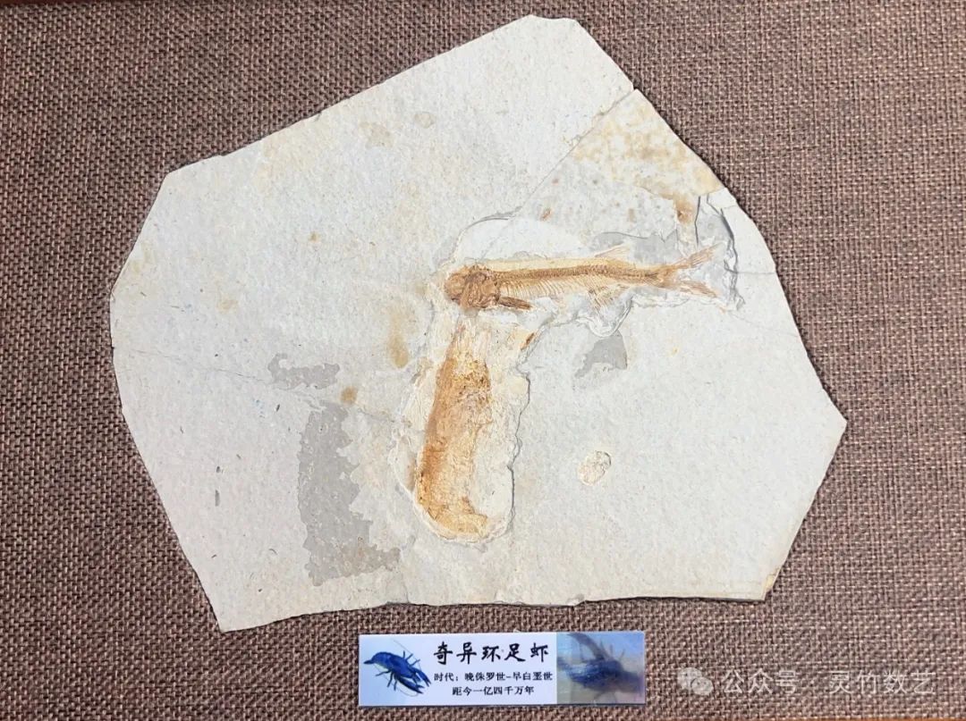 币种交易规则_热门币种投资策略_各大币种在未来交易中的应用潜力：市场前景的深入探讨