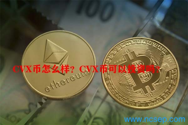 决策币什么意思_wl决策币_参与BNB币的社区治理：如何影响决策与发展方向