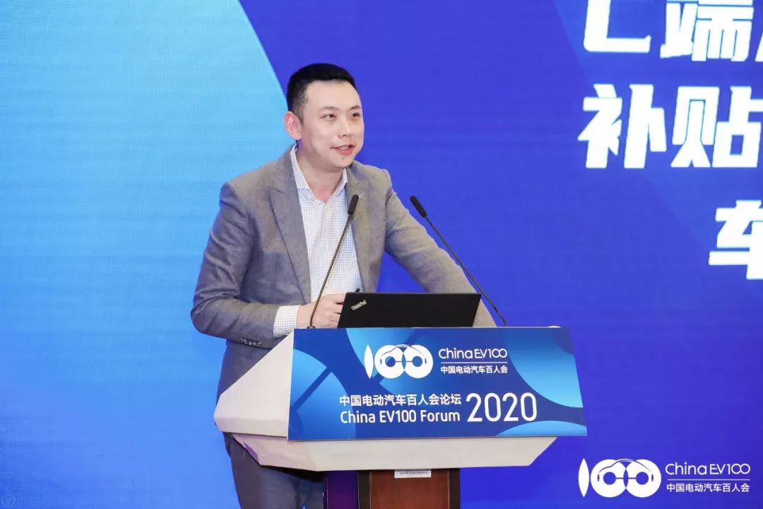 能源多元化战略_新能源汽车市场的多元化竞争与挑战_多元化能源结构