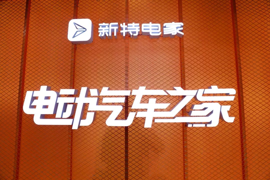 多元化能源结构_能源多元化战略_新能源汽车市场的多元化竞争与挑战