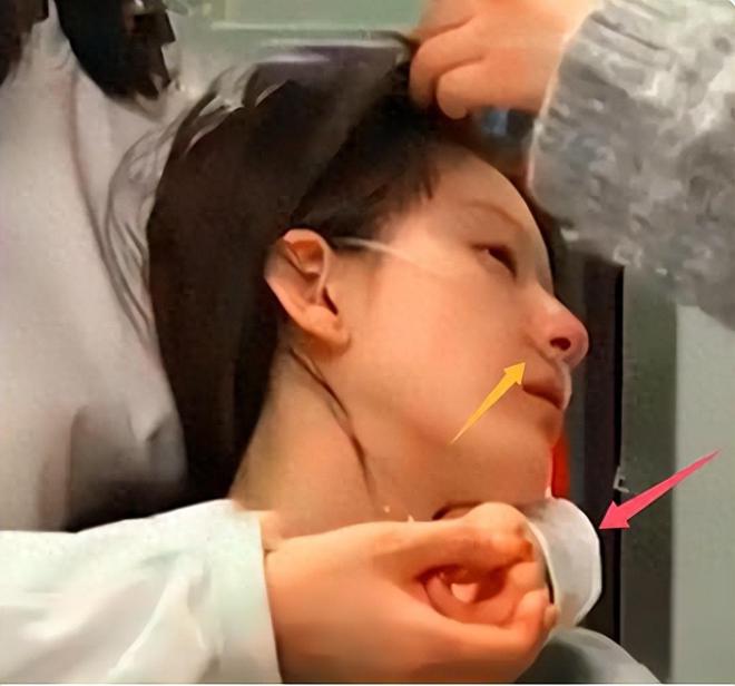 杨幂好友有哪些_杨幂与明星好友的温暖故事_杨幂好朋友女明星
