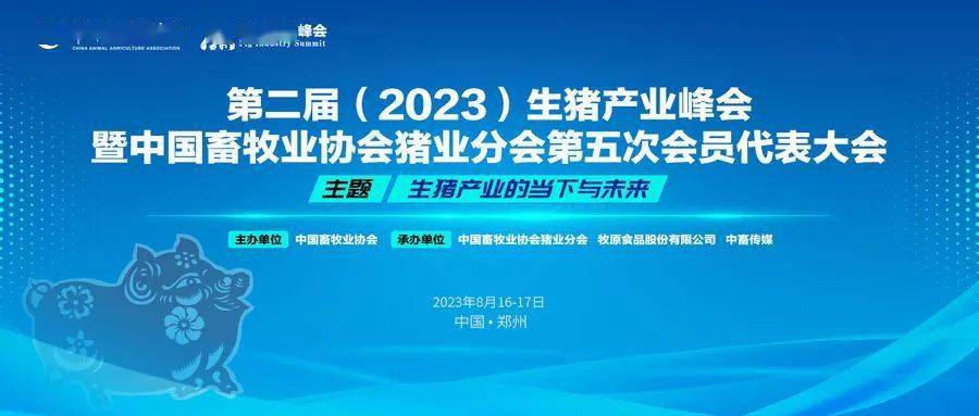 品牌定位逻辑思路_秦英林的品牌逻辑与市场定位_逻辑思维品牌的自我定位
