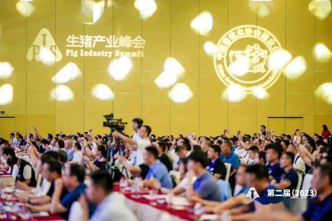 逻辑思维品牌的自我定位_秦英林的品牌逻辑与市场定位_品牌定位逻辑思路