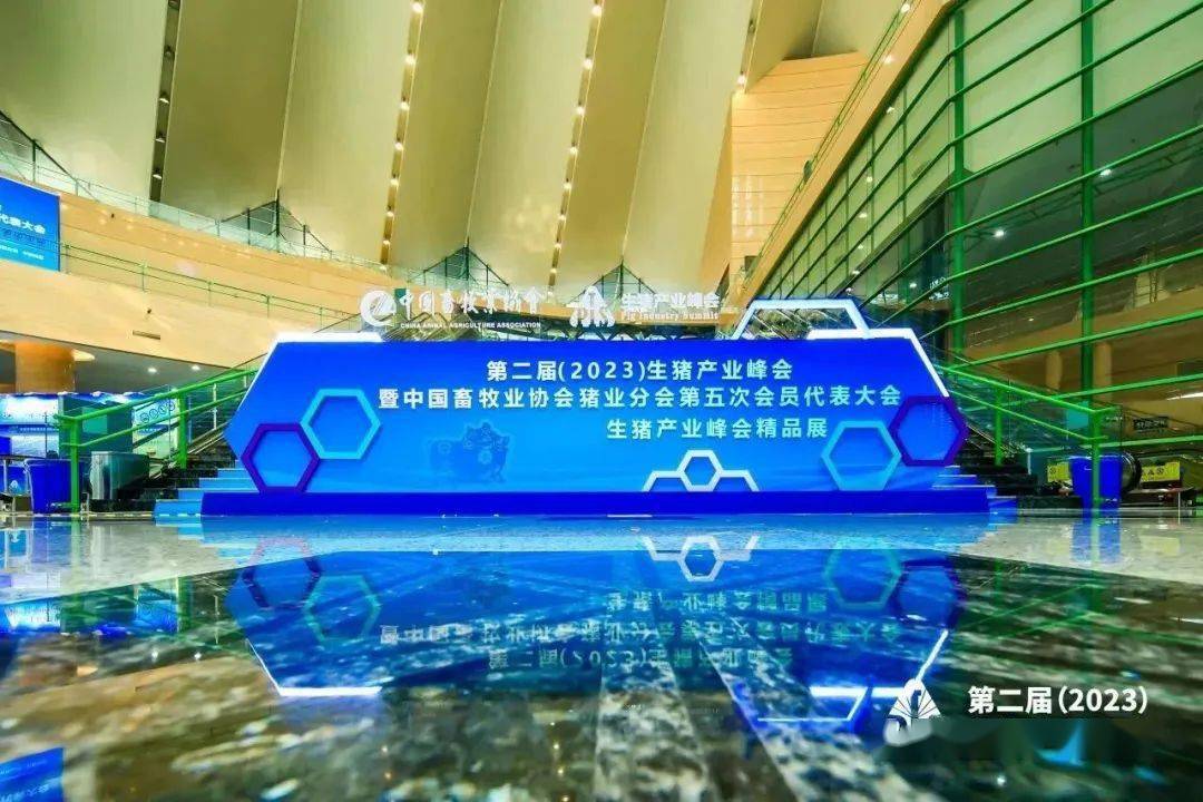 品牌定位逻辑思路_秦英林的品牌逻辑与市场定位_逻辑思维品牌的自我定位