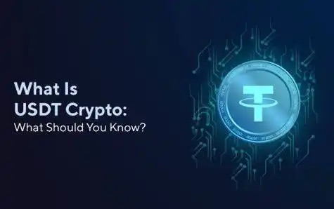 TP钱包应用探索指南