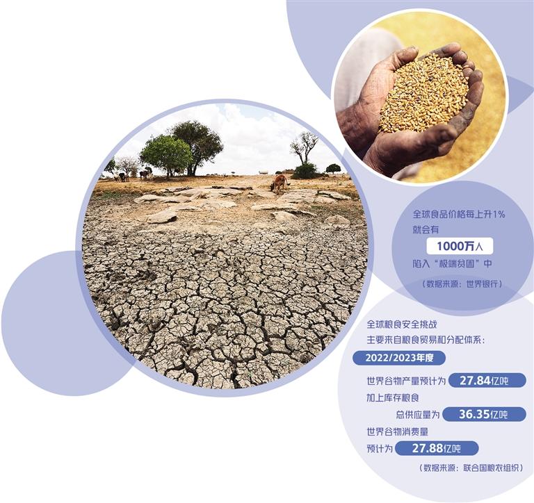 全球粮食安全挑战加剧：疫情、极端天气与俄乌冲突的影响及国际合作的重要性