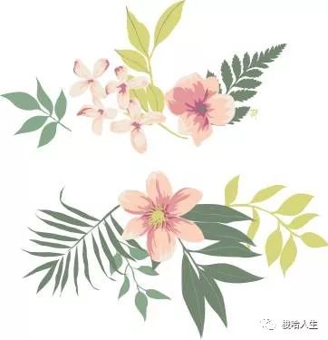 分析各主要币种的投资逻辑：不同市场的投资策略_的投资逻辑_投资逻辑思维