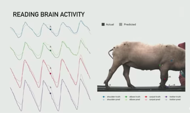 迈向未来的技术：马斯克计划在2025年为Neuralink的患者植入脑机设备_马斯克植入猪脑_马斯克发明植入脑机接口