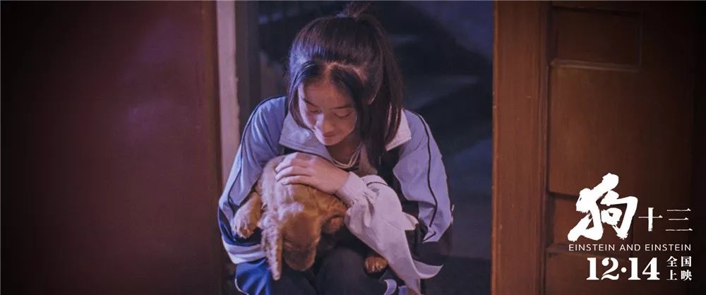 张晋经典片段_张晋在电影中的经典对话_张晋写给电影人的情书